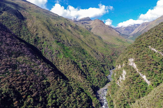 Được thành lập vào năm 1995, Vườn quốc gia Madidi, Bolivia - nơi đa dạng sinh học nhất Trái đất trải dài trên độ cao từ 182m đến 6.000m so với mực nước biển và rộng khoảng 18.130km2. Đây là vùng tiếp giáp giữa đồng bằng Amazon và dải Andes - 2 địa danh nổi nhất tiếng Nam Mỹ. Theo The New York Times, vị trí địa lý đặc biệt cùng cao độ thay đổi rõ rệt làm cho hệ sinh thái ở Madidi đa dạng với đủ loại từ rừng sương mù, rừng thấp đến sông, suối, đầm lầy, và thậm chí cả những lớp băng vĩnh cửu. Được thành lập vào năm 1995, Vườn quốc gia Madidi, Bolivia - nơi đa dạng sinh học nhất Trái đất trải dài trên độ cao từ 182m đến 6.000m so với mực nước biển và rộng khoảng 18.130km2. Đây là vùng tiếp giáp giữa đồng bằng Amazon và dải Andes - 2 địa danh nổi nhất tiếng Nam Mỹ. Theo The New York Times, vị trí địa lý đặc biệt cùng cao độ thay đổi rõ rệt làm cho hệ sinh thái ở Madidi đa dạng với đủ loại từ rừng sương mù, rừng thấp đến sông, suối, đầm lầy, và thậm chí cả những lớp băng vĩnh cửu.