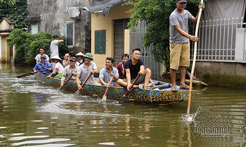 Ron lu Quoc Oai: Thoa suc cheo thuyen, boi loi vay vung khap duong lang-Hinh-5