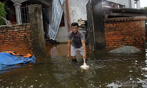 Ron lu Quoc Oai: Thoa suc cheo thuyen, boi loi vay vung khap duong lang-Hinh-14