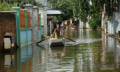 Ron lu Quoc Oai: Thoa suc cheo thuyen, boi loi vay vung khap duong lang-Hinh-7