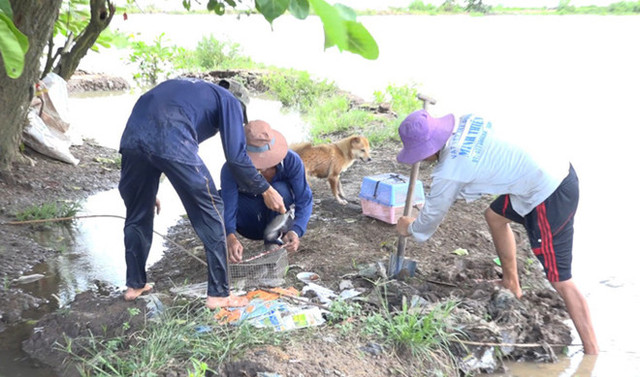 Về miền Tây mùa lũ, xem thợ săn chuột đồng hốt bạc - Hình 4 Ve mien Tay mua lu, xem tho san chuot dong hot bac-Hinh-4