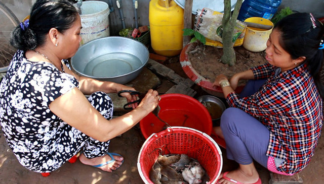 Về miền Tây mùa lũ, xem thợ săn chuột đồng hốt bạc - Hình 12 Ve mien Tay mua lu, xem tho san chuot dong hot bac-Hinh-12