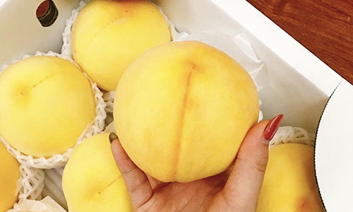 Quà tặng mùa Vu lan: Cặp đào vàng Nhật Bản gây sốt giá tiền triệu Qua tang mua Vu lan: Cap dao vang Nhat Ban gay sot gia tien trieu