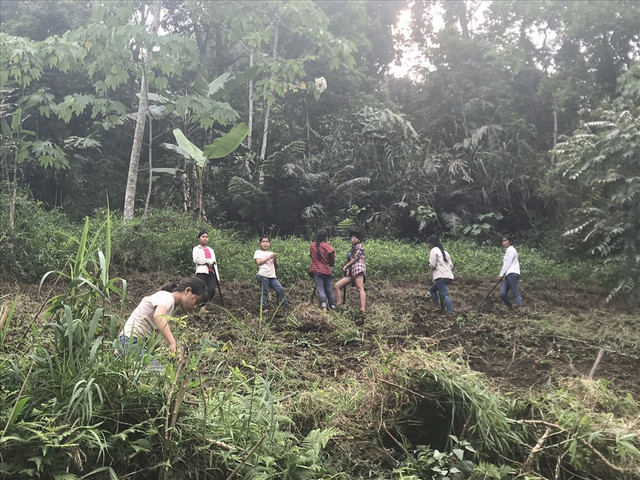 Những đứa trẻ ở Sín Chải. Những đứa trẻ ở Sín Chải.