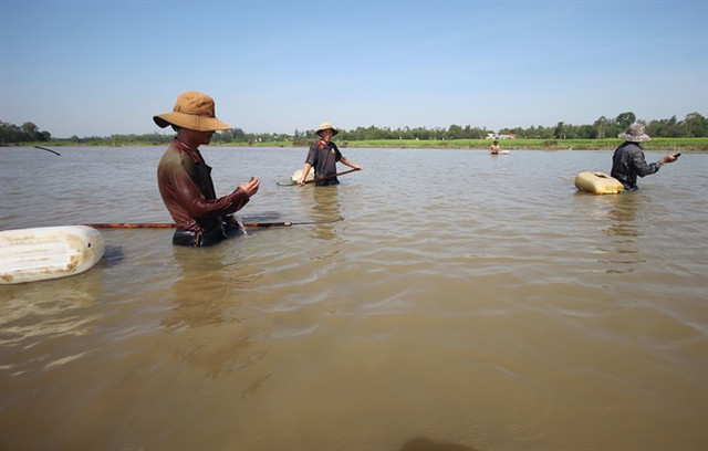 Nhóm thợ dàn thành hàng ngang bắt lươn trên sông Đầm, TP Tam Kỳ. Nhóm thợ dàn thành hàng ngang bắt lươn trên sông Đầm, TP Tam Kỳ.