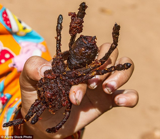 Đặc sản nhện đen sì- "sởn gai ốc" mà vẫn hút khách - Hình 2 Dac san nhen den si-