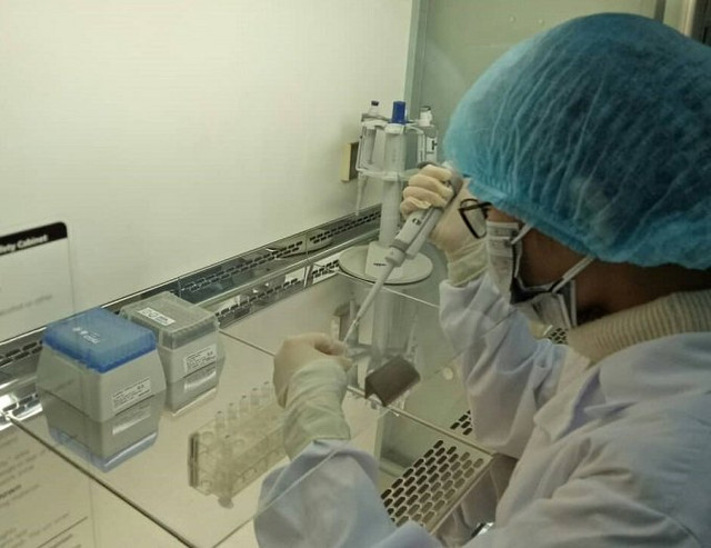 Cuộc ngã giá bạc tỷ sau kết quả thử ADN của đại gia đất Cảng - Hình 2 Cuoc nga gia bac ty sau ket qua thu ADN cua dai gia dat Cang-Hinh-2