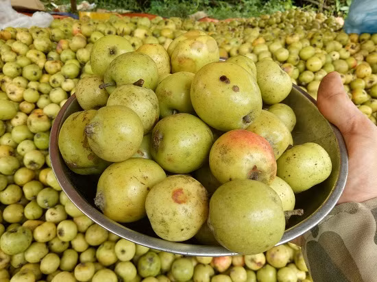 O noi heo hut, trai tre van song khoe nho trong tao meo-Hinh-3