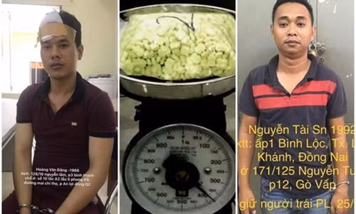 Chu doanh nghiep o Sai Gon bi bat coc tong tien 1,3 ty