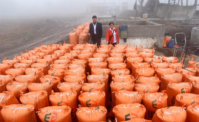 Vợ chồng bà Đặng Thị Sinh bên những sản phẩm dong giềng.