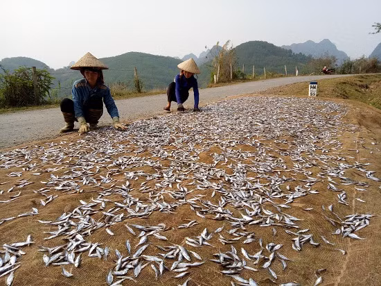 Kiem bon tien tu nghe ca kho song Da