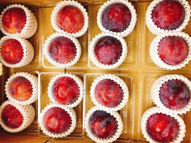 Quả mận to bằng bóng tennis: Tráng miệng hết 5 triệu/tháng Qua man to bang bong tennis: Trang mieng het 5 trieu/thang