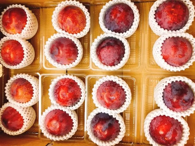 Qua man to bang bong tennis: Trang mieng het 5 trieu/thang