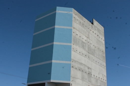 Chim yến khiến cả thành phố mất ăn, mất ngủ Chim yen khien ca thanh pho mat an, mat ngu