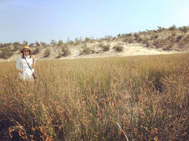 Du lich Quang Binh - Hue cuc vui ma chi ton 3 trieu dong-Hinh-8