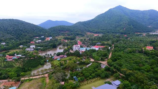 Rừng phòng hộ Sóc Sơn bị "xẻ thịt": Đình chỉ công tác chủ tịch xã Rung phong ho Soc Son bi