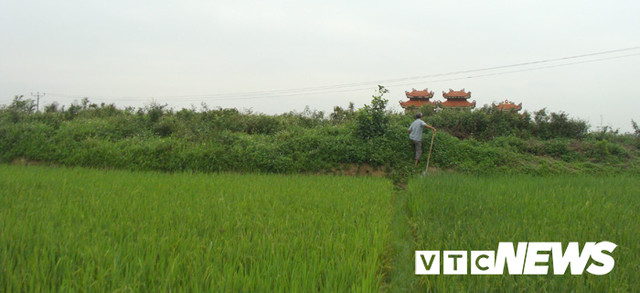 Thảm cảnh tàn phá mộ cổ khổng lồ chứa cả tấn báu vật ở Hải Dương Tham canh tan pha mo co khong lo chua ca tan bau vat o Hai Duong