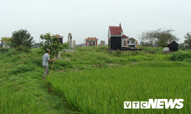 Thảm cảnh tàn phá mộ cổ khổng lồ chứa cả tấn báu vật ở Hải Dương - Hình 8 Tham canh tan pha mo co khong lo chua ca tan bau vat o Hai Duong-Hinh-8