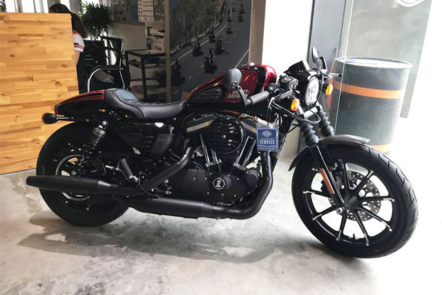 Minh Nhựa tậu Harley-Davidson 883 cafe racer giá 469 triệu đồng Minh Nhua tau Harley-Davidson 883 cafe racer gia 469 trieu dong