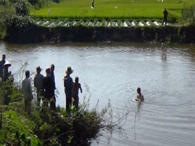 Hai mẹ con đuối nước dưới ao. Hình minh họa.