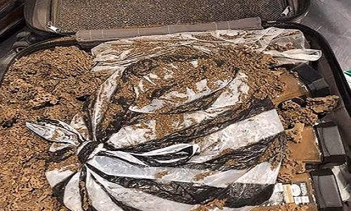 Nguoi dan ong TQ be nguyen mot to kien khong lo len may bay