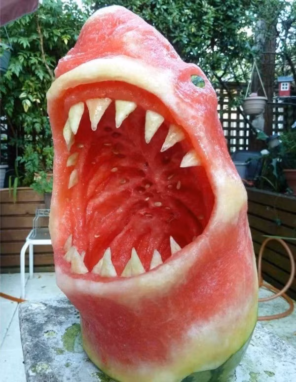 Nghệ sĩ Clive Cooper đã chế tác chiếc hàm cá mập này từ một trái dưa hấu. "Bàn tay phù thủy" của nghệ nhân đã biến hóa ra động vật hung dữ từ trái cây đầy sáng tạo. Ảnh Oddee.