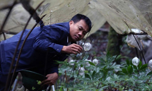 Chuyện ly kì về cuộc giải cứu "quốc bảo" khỏi họa tuyệt chủng Chuyen ly ki ve cuoc giai cuu