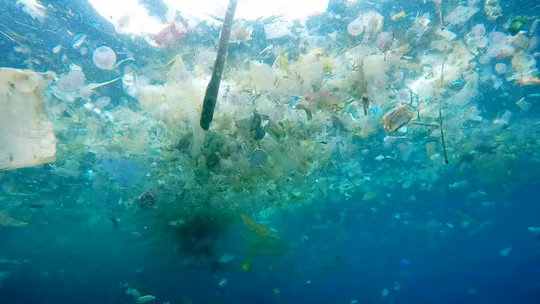 "Tôi quyết định đăng tải đoạn clip vì nó tồi tệ hơn bình thường rất, rất nhiều. Vì vùng biển của chúng ta bị ảnh hưởng chủ yếu từ luồng chảy của Indonesia nên số rác thải này đang trôi đi rất nhanh vào mùa mưa" - thợ lặn người Anh nói thêm.