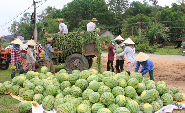 Nhiều đại biểu tâm tư chuyện giải cứu nông sản. Ảnh: Báo Công thương. Nhiều đại biểu tâm tư chuyện giải cứu nông sản. Ảnh: Báo Công thương.