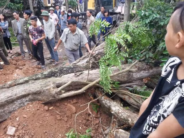 26 ty ban cay sua o Bac Ninh duoc chia cho nhung ai?