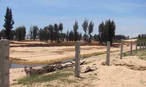 Pha rung phong ho va tra loi khong giong ai cua “quan” Viet