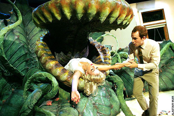 Sự thật về cây ăn thịt người khiến ai cũng ám ảnh Su that ve cay an thit nguoi khien ai cung am anh