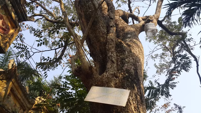 26 ty ban cay sua o Bac Ninh duoc chia cho nhung ai?-Hinh-9