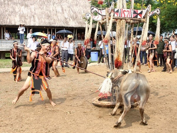 Chỉ đạo nóng vụ bắt dân nghèo đóng tiền tổ chức lễ hội đâm trâu Chi dao nong vu bat dan ngheo dong tien to chuc le hoi dam trau