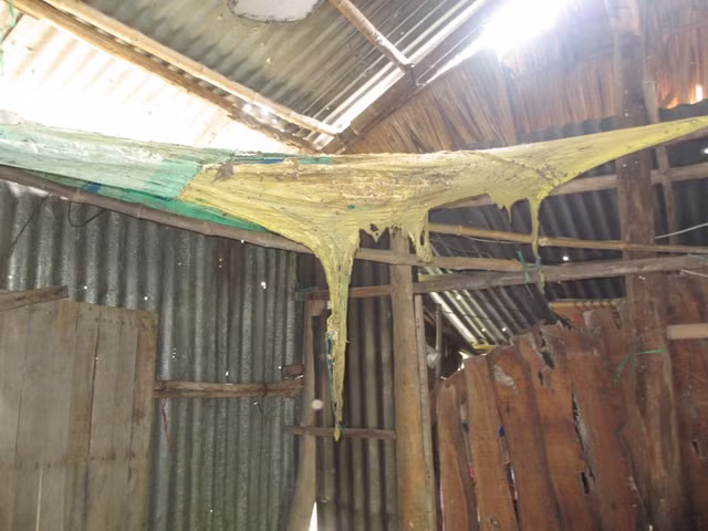 Tấm cao su che chắn bị cháy biến dạng. (Ảnh: Thanh Lâm).