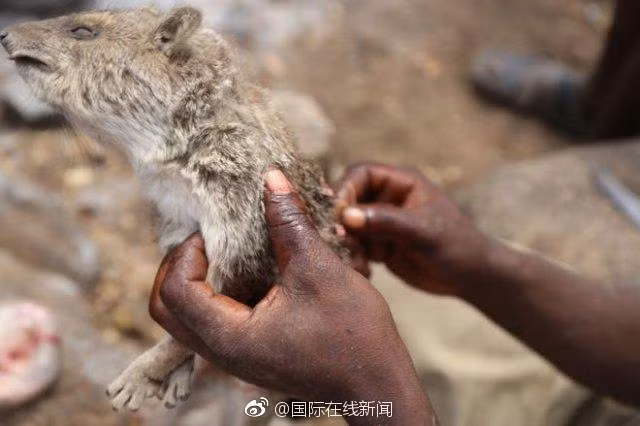 Den noi nguoi an thit song, san ban nhu than-Hinh-2