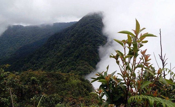 Bộ Quốc phòng thông tin vụ máy bay rơi 47 năm trước trên núi Tam Đảo Bo Quoc phong thong tin vu may bay roi 47 nam truoc tren nui Tam Dao