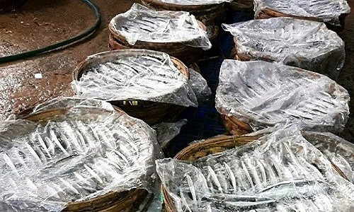 Cơ quan chức năng thu giữ 3 tạ cá hấp thành phẩm chuẩn bị mang đi tiêu thụ tại cơ sở của Hiếu. Cơ quan chức năng thu giữ 3 tạ cá hấp thành phẩm chuẩn bị mang đi tiêu thụ tại cơ sở của Hiếu.
