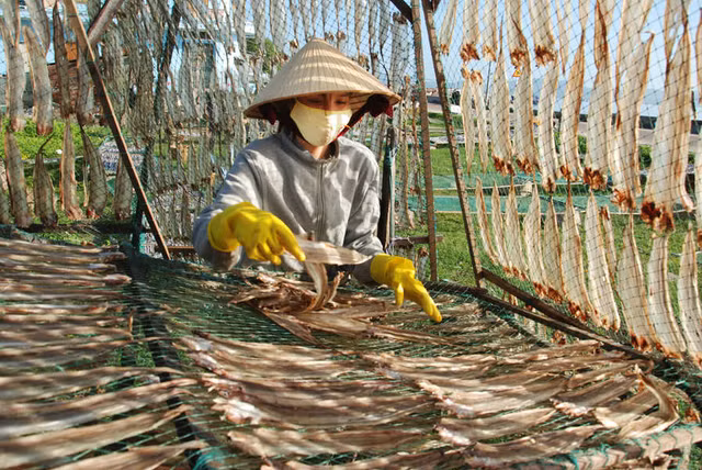 Đặc sản cá đét: A-Z “hành trình” từ biển lên bàn nhậu - Hình 3 Dac san ca det: A-Z “hanh trinh” tu bien len ban nhau-Hinh-3