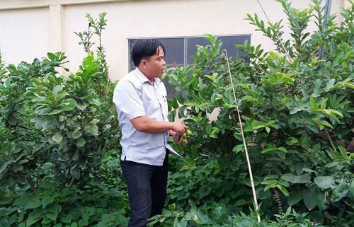 Trang trại xanh, sạch là yếu tố anh Dũng rất quan tâm. Ảnh: T.A Trang trại xanh, sạch là yếu tố anh Dũng rất quan tâm. Ảnh: T.A