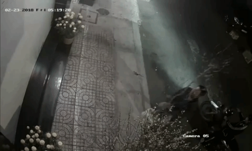 Một người cầm lái, một người đặt cây đào trơ cành và người còn lại ôm cây đào sum suê hoa lá lên xe. Một người cầm lái, một người đặt cây đào trơ cành và người còn lại ôm cây đào sum suê hoa lá lên xe.