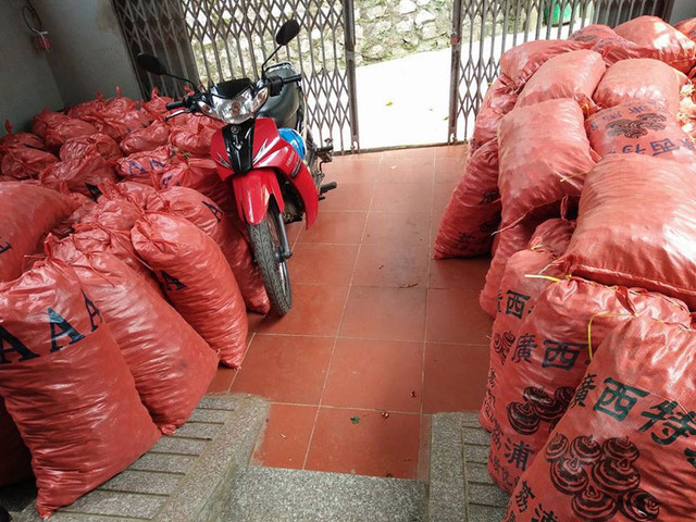 Củ mã thầy Trung Quốc ồ ạt về Việt Nam. Củ mã thầy Trung Quốc ồ ạt về Việt Nam.
