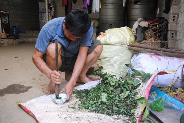 Ông Lê giã lá thuốc để chữa người bị rắn cắn. Ảnh: Kế Phan. Ông Lê giã lá thuốc để chữa người bị rắn cắn. Ảnh: Kế Phan.
