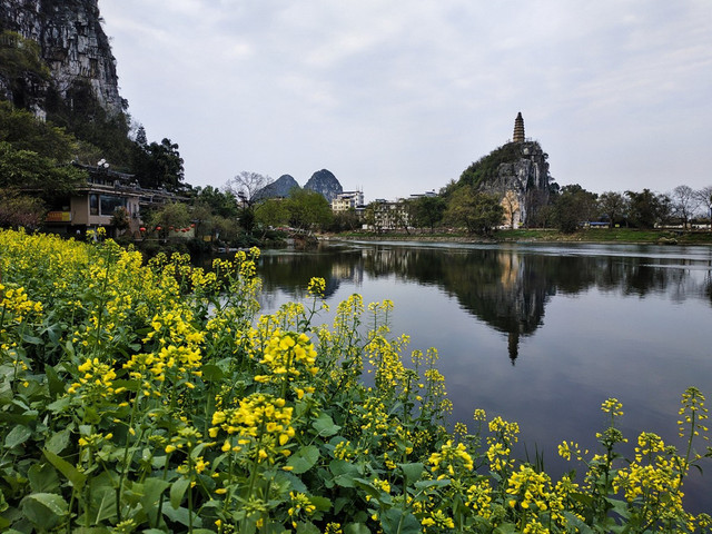 Trong điều kiện đủ sáng, cụm camera kép trên Redmi Note 5 mang lại những shot hình tốt. Trong điều kiện đủ sáng, cụm camera kép trên Redmi Note 5 mang lại những shot hình tốt.