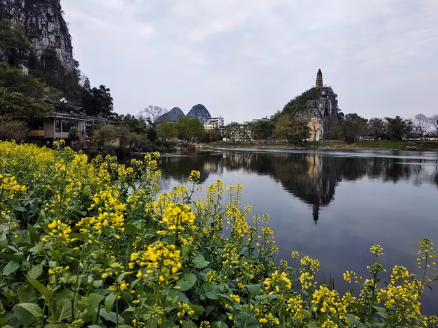 Trong điều kiện đủ sáng, cụm camera kép trên Redmi Note 5 mang lại những shot hình tốt.