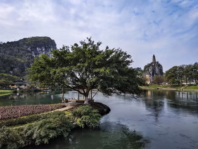 Góc khá rộng, màu sắc chân thực.