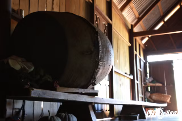 Rung cay thuy tung o Viet Nam co "nui tien" cung khong mua noi-Hinh-11