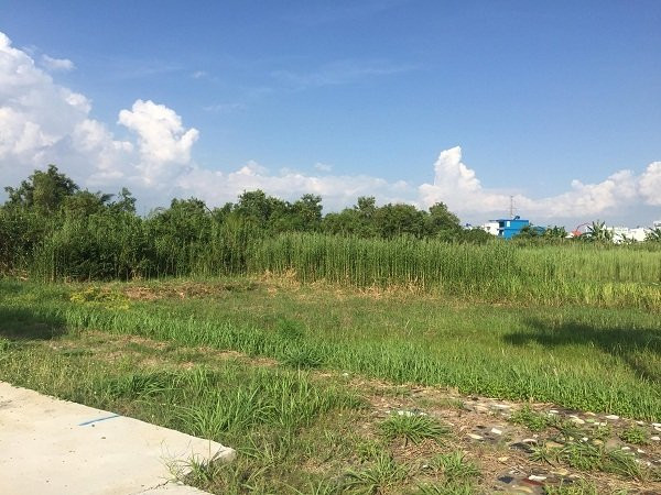 Thanh tra toàn diện công ty địa ốc Phi Long bị tố lừa đảo - Hình 2 Thanh tra toan dien cong ty dia oc Phi Long bi to lua dao-Hinh-2