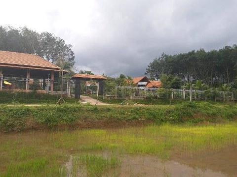 Kon Tum: Vợ cán bộ Cục thuế xây công trình khủng trên đất nông nghiệp - Hình 5 Kon Tum: Vo can bo Cuc thue xay cong trinh khung tren dat nong nghiep-Hinh-5