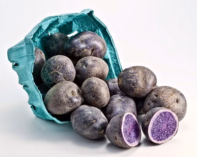 Ven man bi mat mau sac di cua cac loai khoai tay-Hinh-2